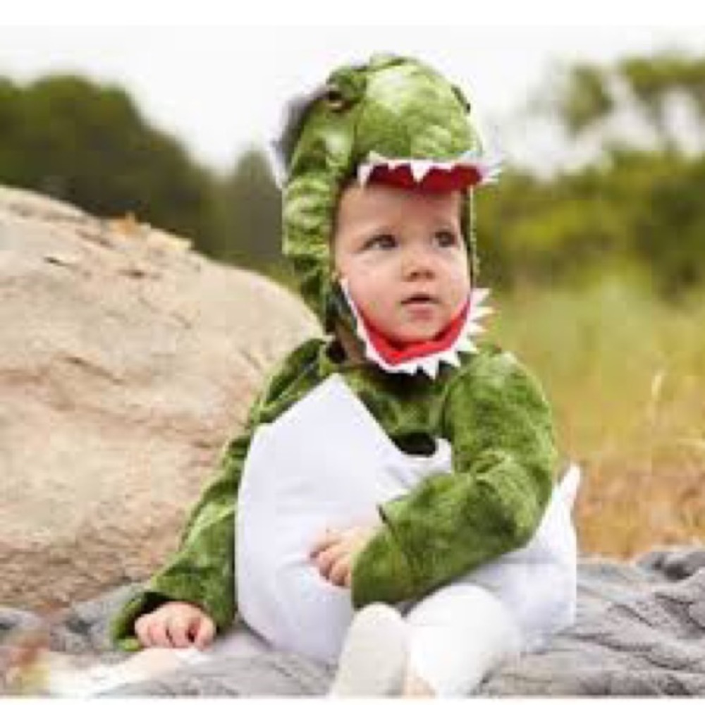 Pottery Barn baby dinosaur egg costume EUC 12-24 months